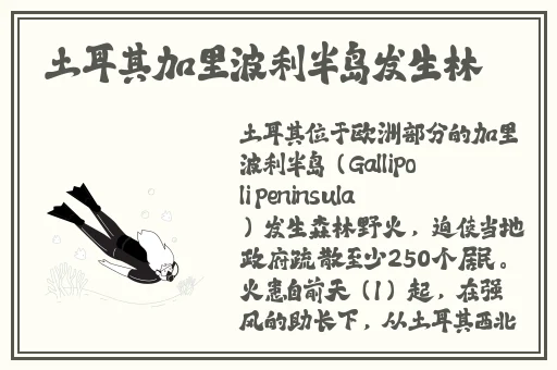 坐在学霸的鸡扒上背单词